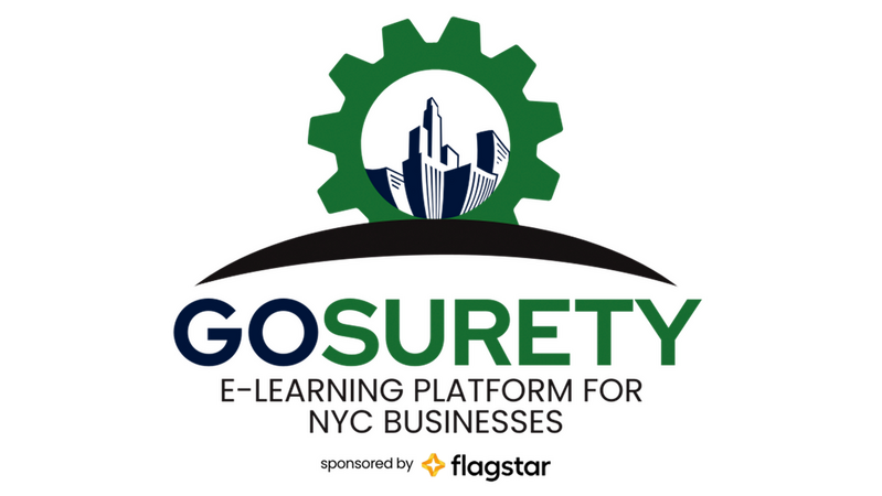 GoSurety 4